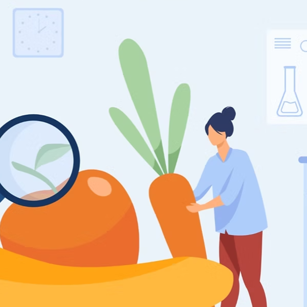 Apprentissage par Exploration